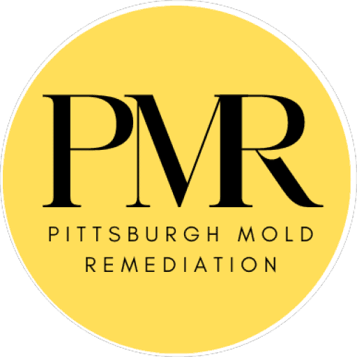 Pittsburgh-Mold-Remediation